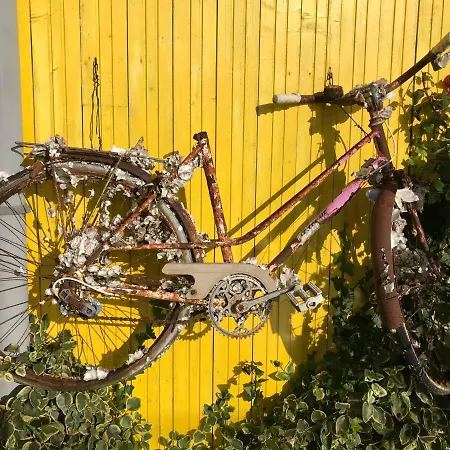 Elegante Maison Familiale Au Coeur Des Remparts De La Citadelle